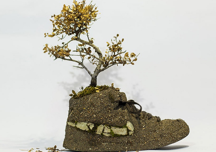 Растительные композиции в виде спортивной обуви.
