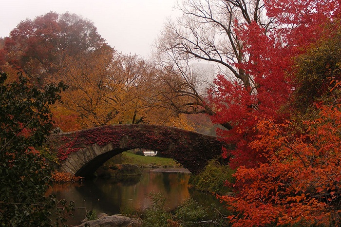 Мост в Центральном парке Нью-Йорка (США). Осенний пейзаж.