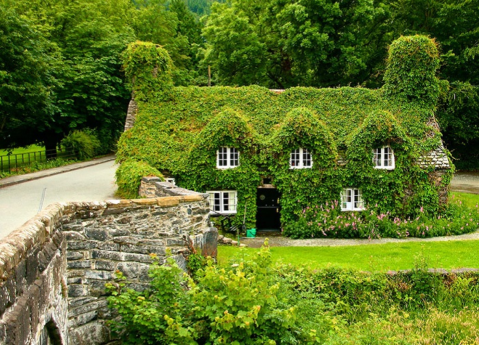 Дом - Tea house (North Wales). Лето