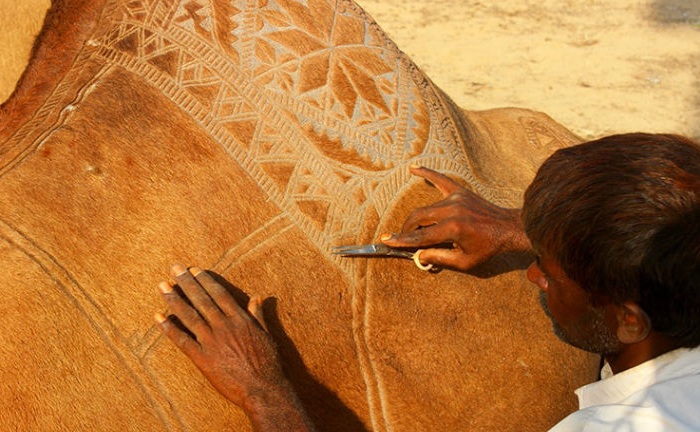Мастер выстригает орнамент верблюду обычными ножницами.