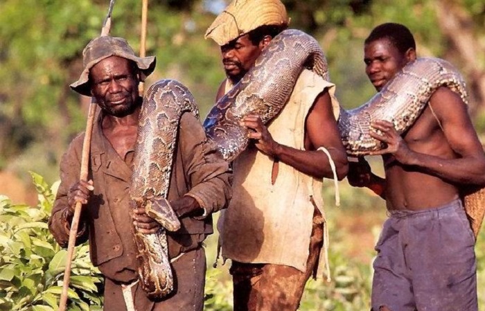 В Африке мужчины «забавляются» охотой на живца.