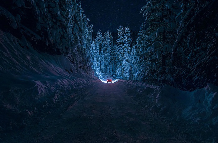 Фотография зимнего леса в Болгарии.