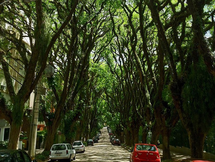 Зеленая улица в Порту-Алегрию