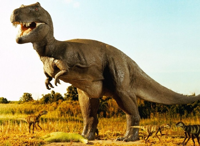 Тираннозавр рекс. | Фото: altfast.ru.
