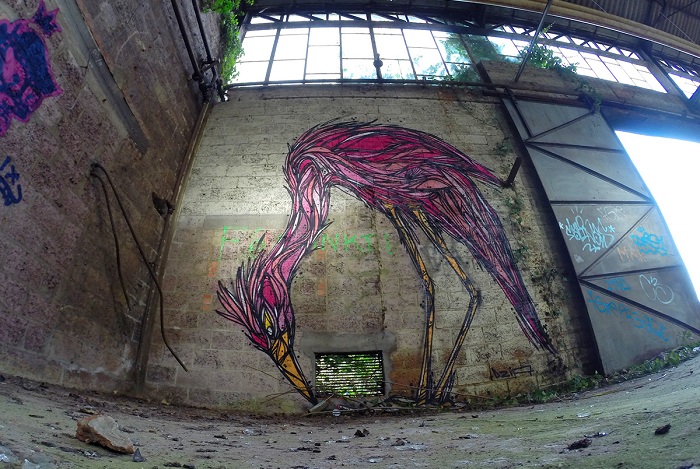 Птица, нарисованная на заброшенной городской стене.
