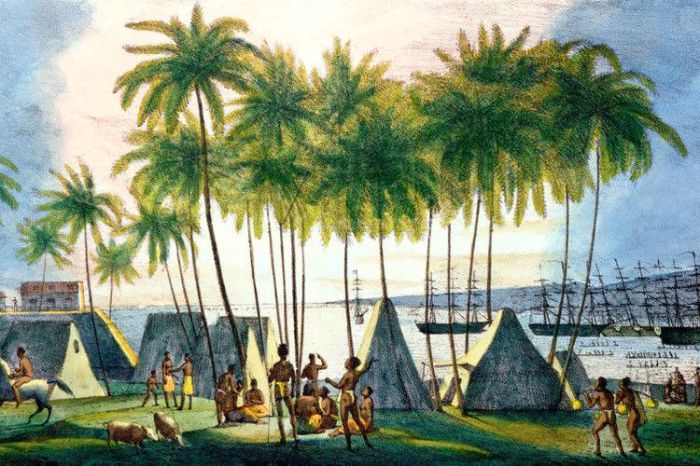 Остров Каукаи на Гавайях в 1815 году был российской колонией. | Фото: lemur59.ru.