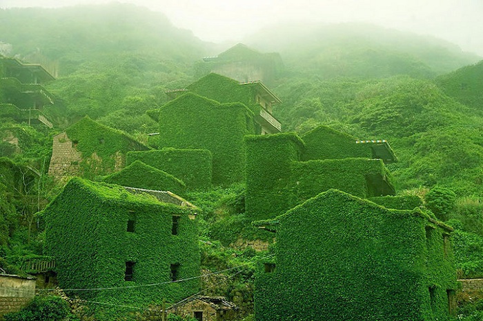 Деревня-призрак, затянутая зеленым плющом.