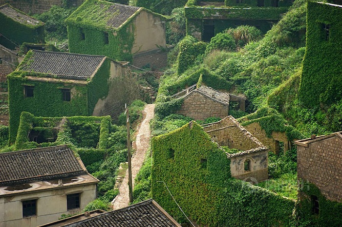 Деревня, полностью покрытая зеленью.