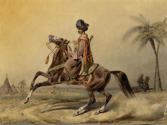 Мамлюк. Финард Давид Ноэль Дьедонне, 1829 г. | Фото: museum.ru.