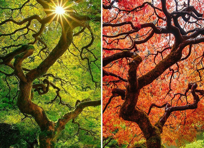 Осеннее преображение природы.