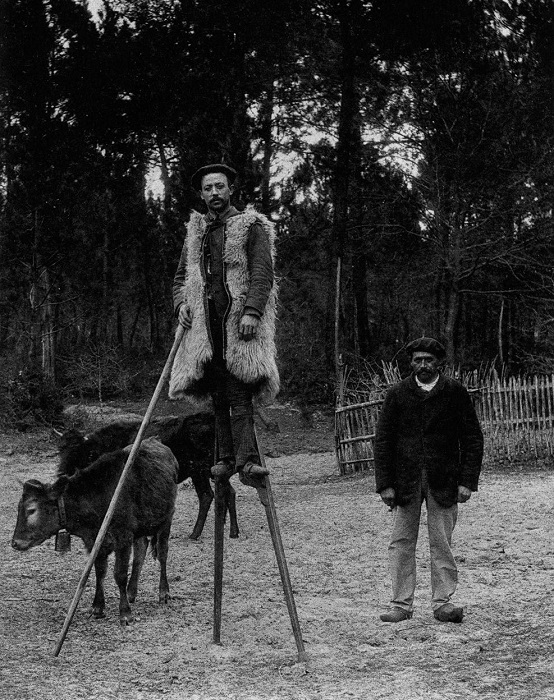 Типичный пастух на ходулях в ландах (Франция). Ок. 1930 г.