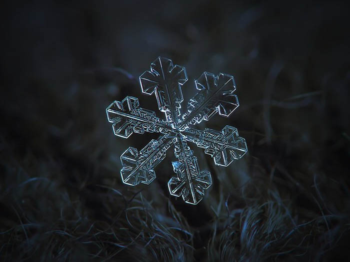 Фотографии снежинок от Алексея Клятова.