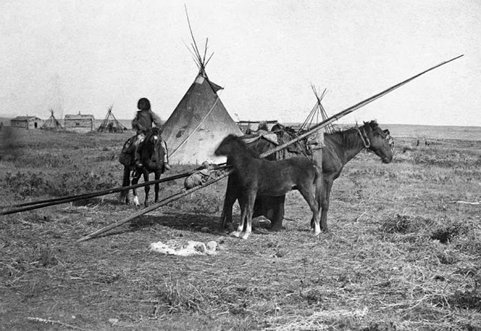 Поселение индейцев рядом с заливом Гудзон. Форт Калгари, Альберта, Канада, 1886г.  Автор фото: Alex Ross.