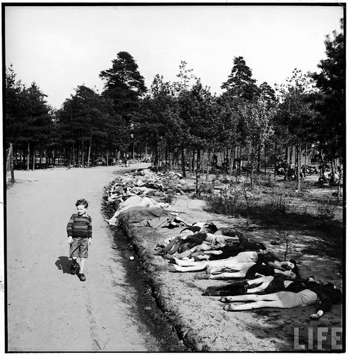 Немецкий мальчик идет по дороге, вдоль которой лежат тела заключенных, умерших от голода.