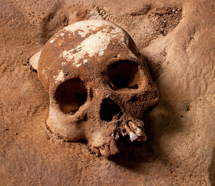 Скелеты в пещере покрыты толстым слоем пыли и кальцита.