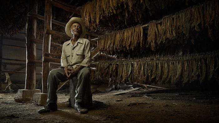 Эрнест Мальдонадо, 79 лет (Лас Овас, Куба). После сборки листья табака отправляются сушиться на пять месяцев, прежде чем их можно будет использовать для сигар.