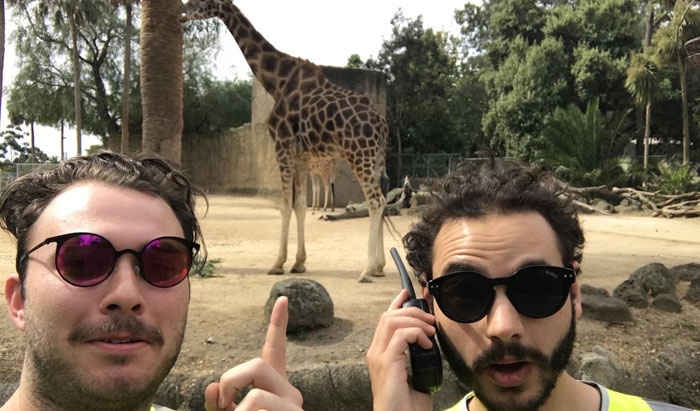 Дейв и Шон в зоопарке.