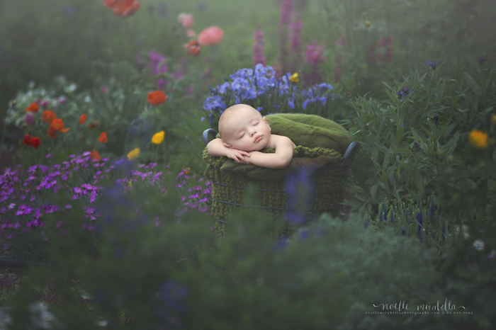 Сон в цветущем саду. Фото: Noelle Mirabella Photography.