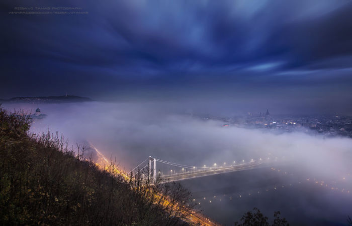 Туман над Дунаем. Автор фото: Tamas Rizsavi.