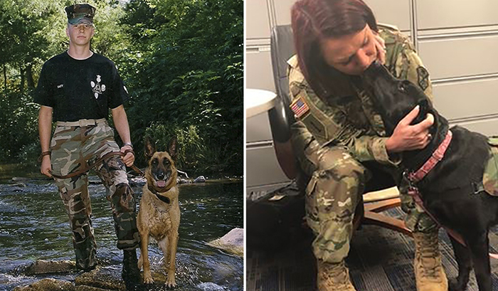 Собаки для ветеранов.