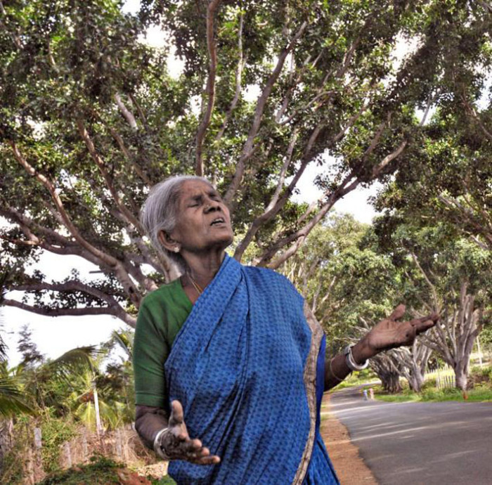 Саалумарада Тиммакка, женщина, изменившая жизнь своей деревни.