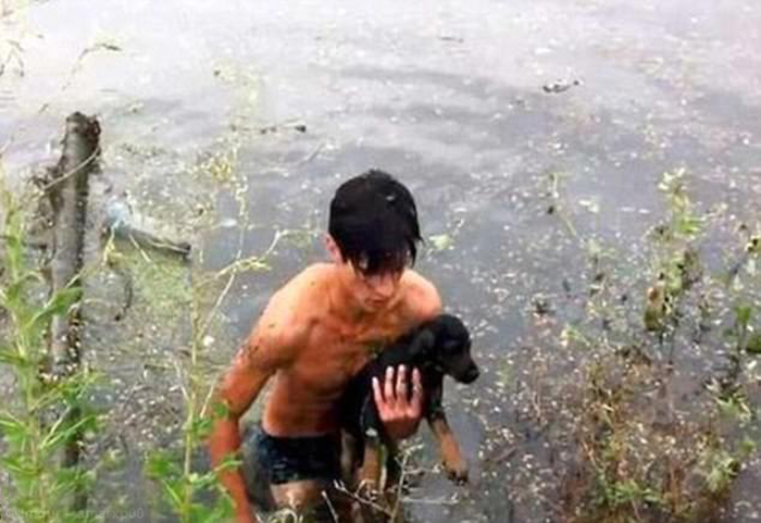 Подросток нырнул за щенком в воду, чтобы спасти обессилевшее животное. Позже мальчик забрал собаку к себе домой и назвал ее Счастливчиком.