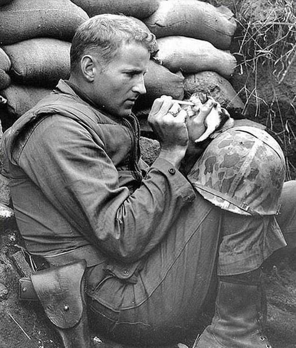 Сержант Фрэнк Прейтор кормит двухнедельного котенка во время своей службы на войне в Корее. 