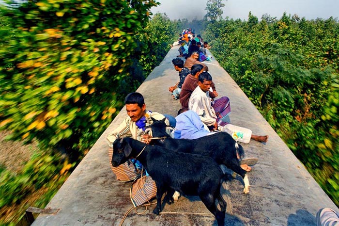 Некоторые пассажиры перевозят на крыше поезда даже домашних животных. Автор фото: GMB Akash.