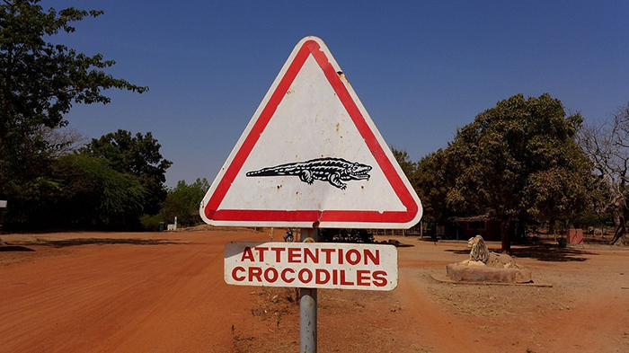 Осторожно, крокодилы.