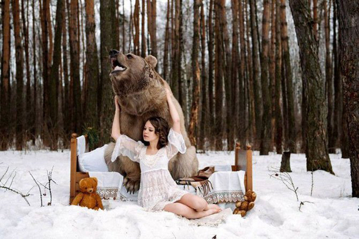 650-килограммовый медведь Степан. Фото: Ольга Баранцева.