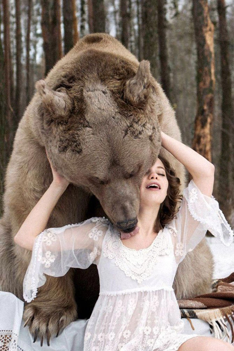Огромный медведь вырос в неволе, но окруженным любовью и заботой. Фото: Ольга Баранцева.