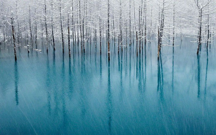 Пруд на Хоккайдо. Фото-победитель конкурса National Geographic в 2011г.