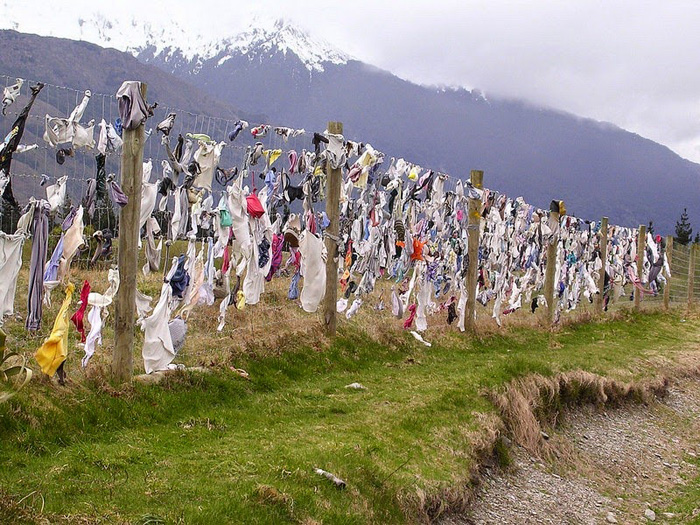 Необычный забор в Новой Зеландии.