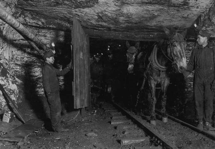 14-летний Вилли Брайден придерживает двери для мула с тележкой в шахте Пенсильвании. 1911г.