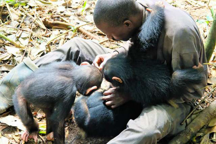 Приют старается помочь обезьянкам вырасти здоровыми и адаптировать их к дикой жизни. Фото: Amy Hanes.