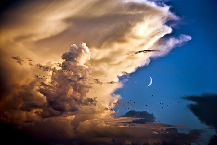 Птицы, облака, Луна, Венера.