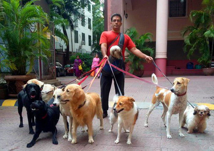 Ракеш и девять собак на выгуле. Фото: Rakesh Shukla.
