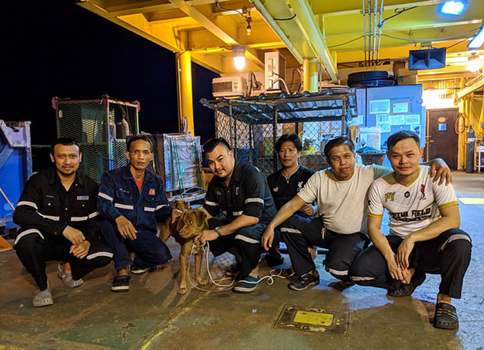 Команда нефтяной платформы со спасенной собакой.