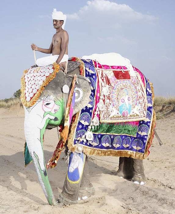 Дорогие ткани для украшения любимого слона.