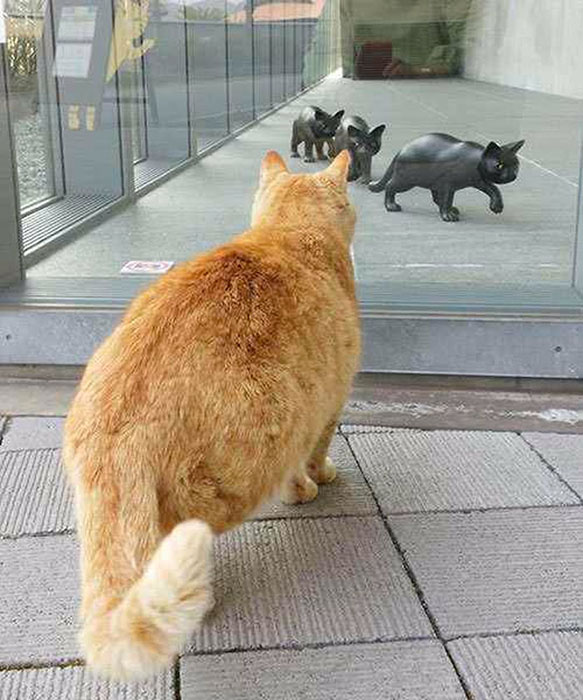 Скульптуры котов в музее есть, а самих котов не пускают.