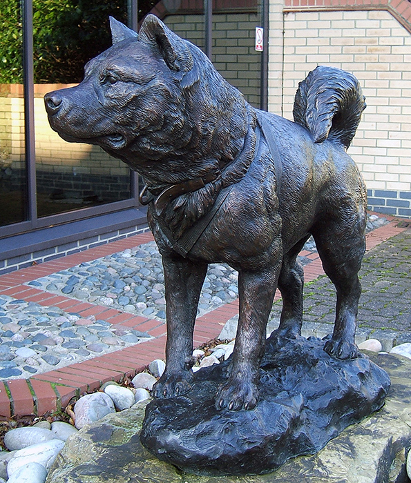 Памятник ездовым собакам в Антарктиде.