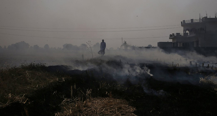Крестьянин идет сквозь горящие поля - в Индии часто намеренно поджигают остатки урожая.
