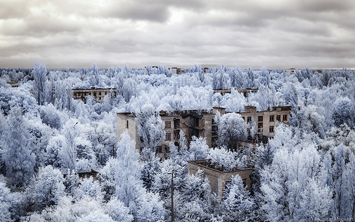 Город Припять буквально тонет в зелени деревьев.  Фото: Vladimir Migutin.