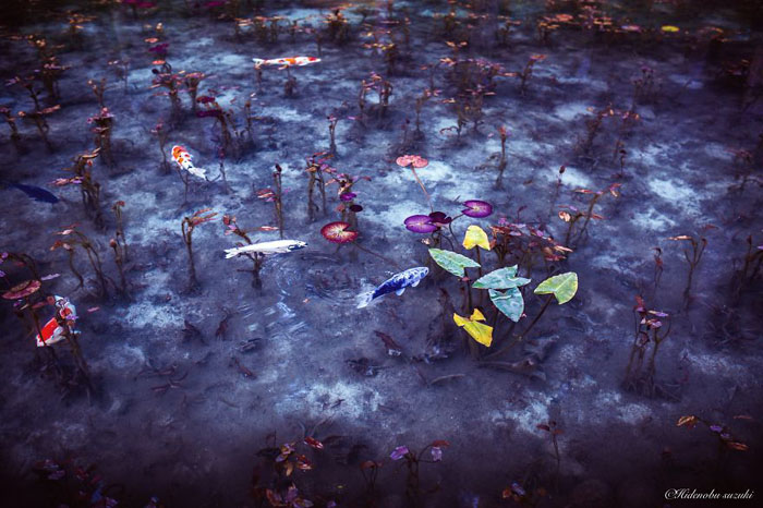 Осенний пруд. Фото:  Hidenobu Suzuki.