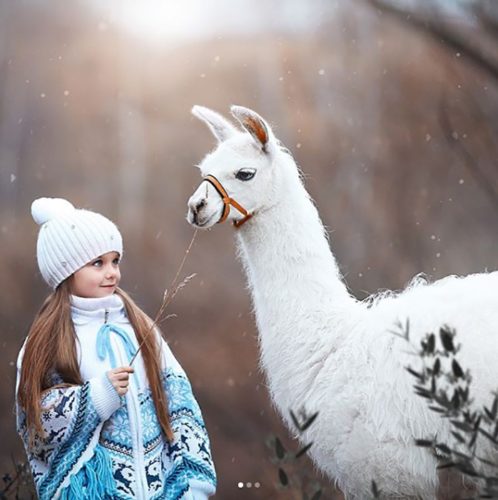 Фотография Анастасии Князевой с альпакой.  Instagram anna_knyazeva_official.