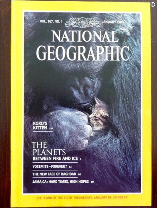 Обложка National Geographic с фотографией Коко.