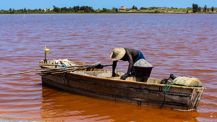Розовое озеро в Сенегале.