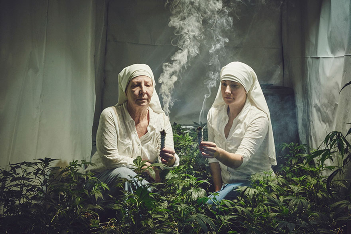 Монахини выращивают марихуану сорта конопли с фото