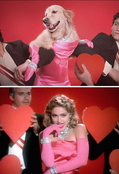 В образе Мадонны в клипе *Material Girl*.