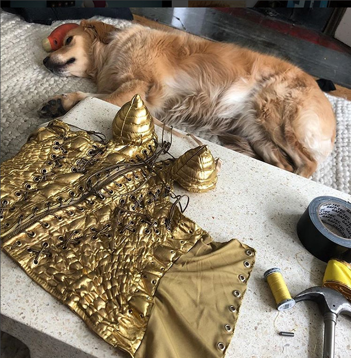 Венсан самостоятельно шил все костюмы для своей собаки.